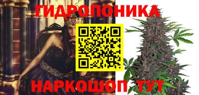 круглые Кингисепп