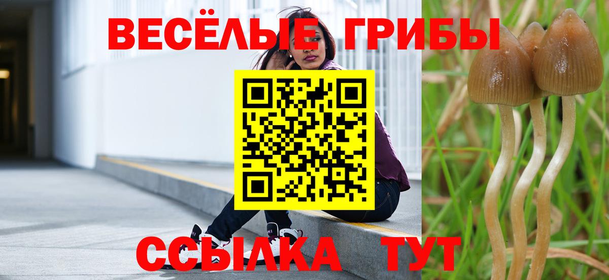 Псилоцибиновые грибы мухоморы  Вход с VPN  Кузнецк  наркошоп  Псилоцибиновые грибы GOLDEN TEACHER 